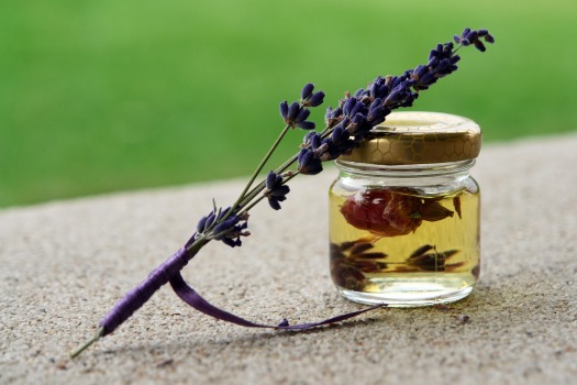Lavender Medicinal Uses